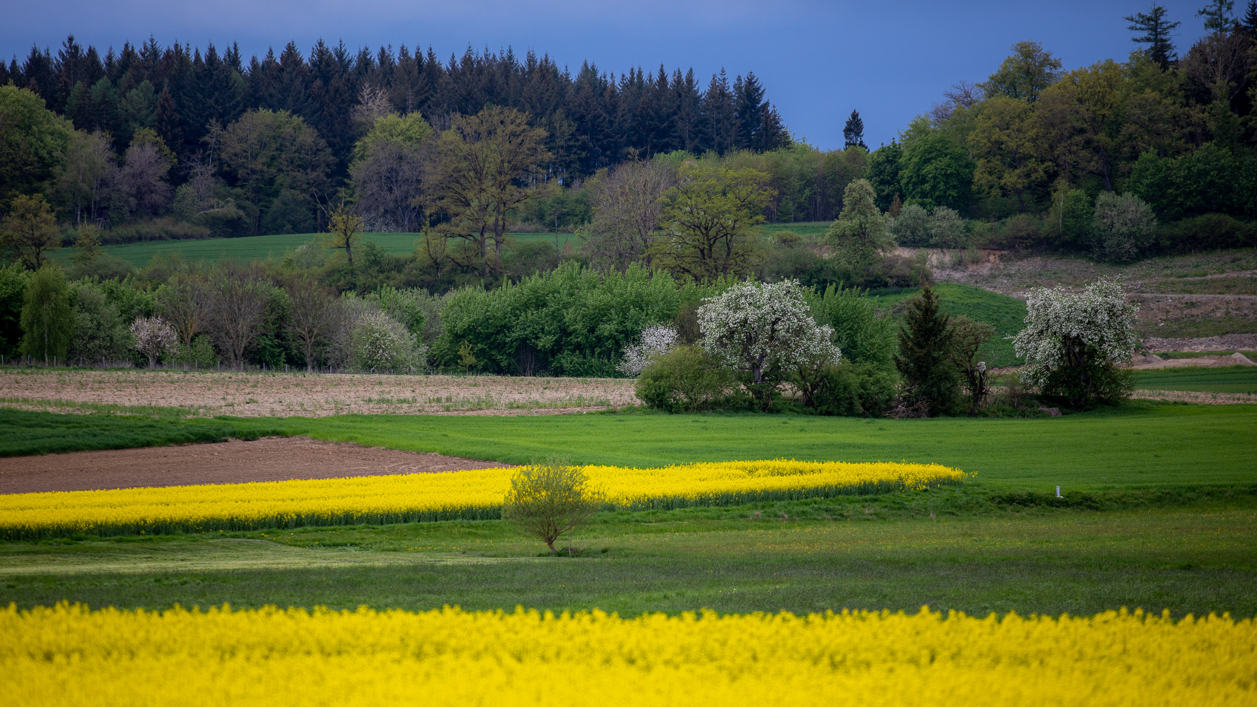 20230507153906 RD4 3961